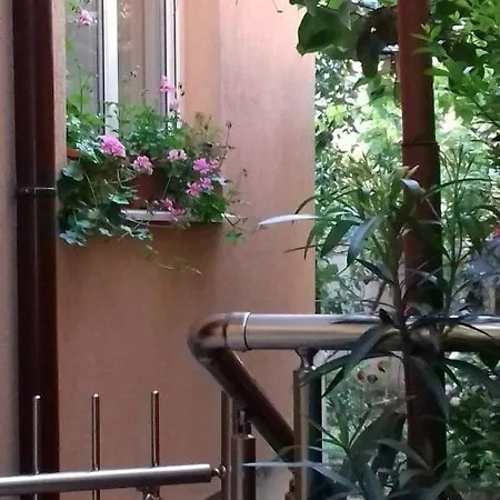 게스트하우스 Nedelchevi 프리모르스코