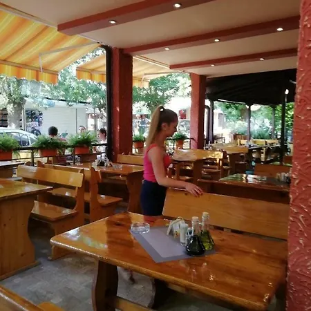 Pensionat Nedelchevi 3*